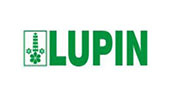 Lupin